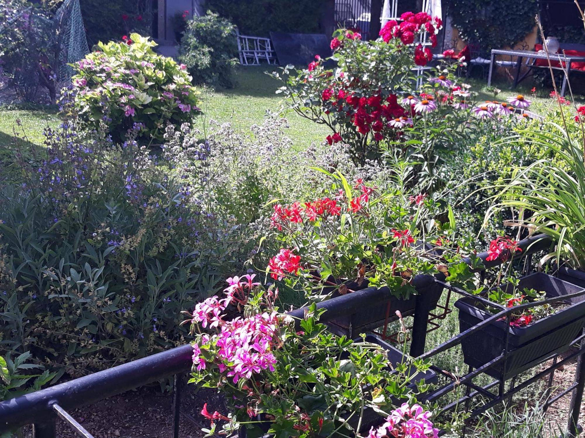 Rose Room 40M2 With Terrace 25M2 In Greeny Area For 4 Person Laibach Exterior foto