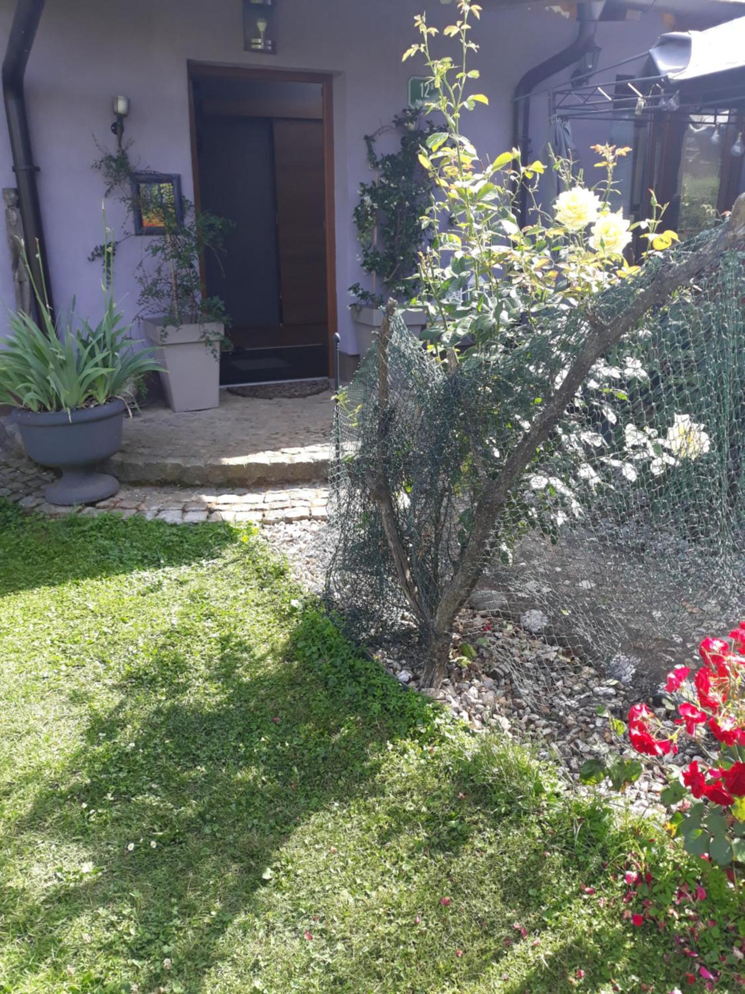 Rose Room 40M2 With Terrace 25M2 In Greeny Area For 4 Person Laibach Exterior foto