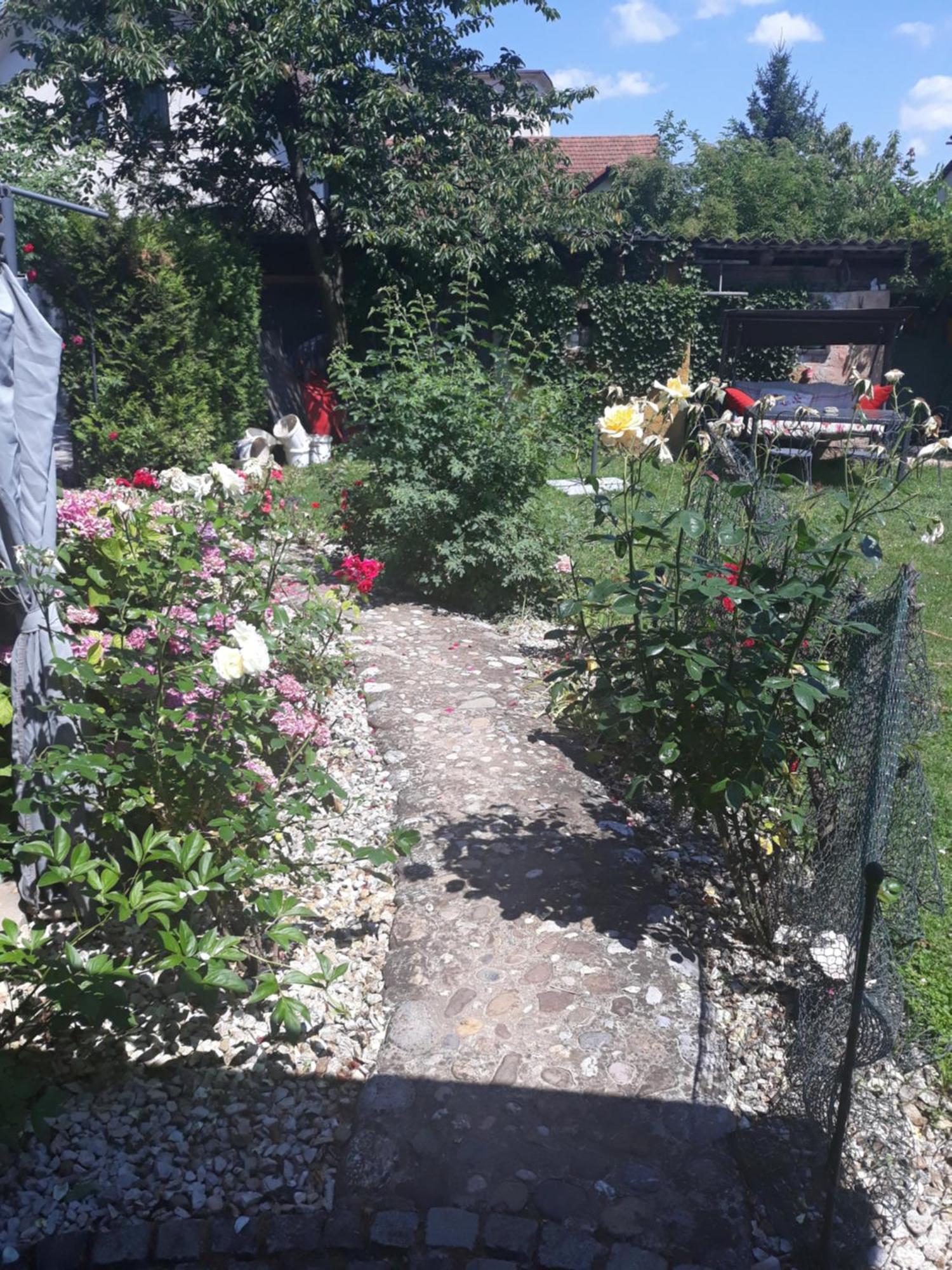 Rose Room 40M2 With Terrace 25M2 In Greeny Area For 4 Person Laibach Exterior foto
