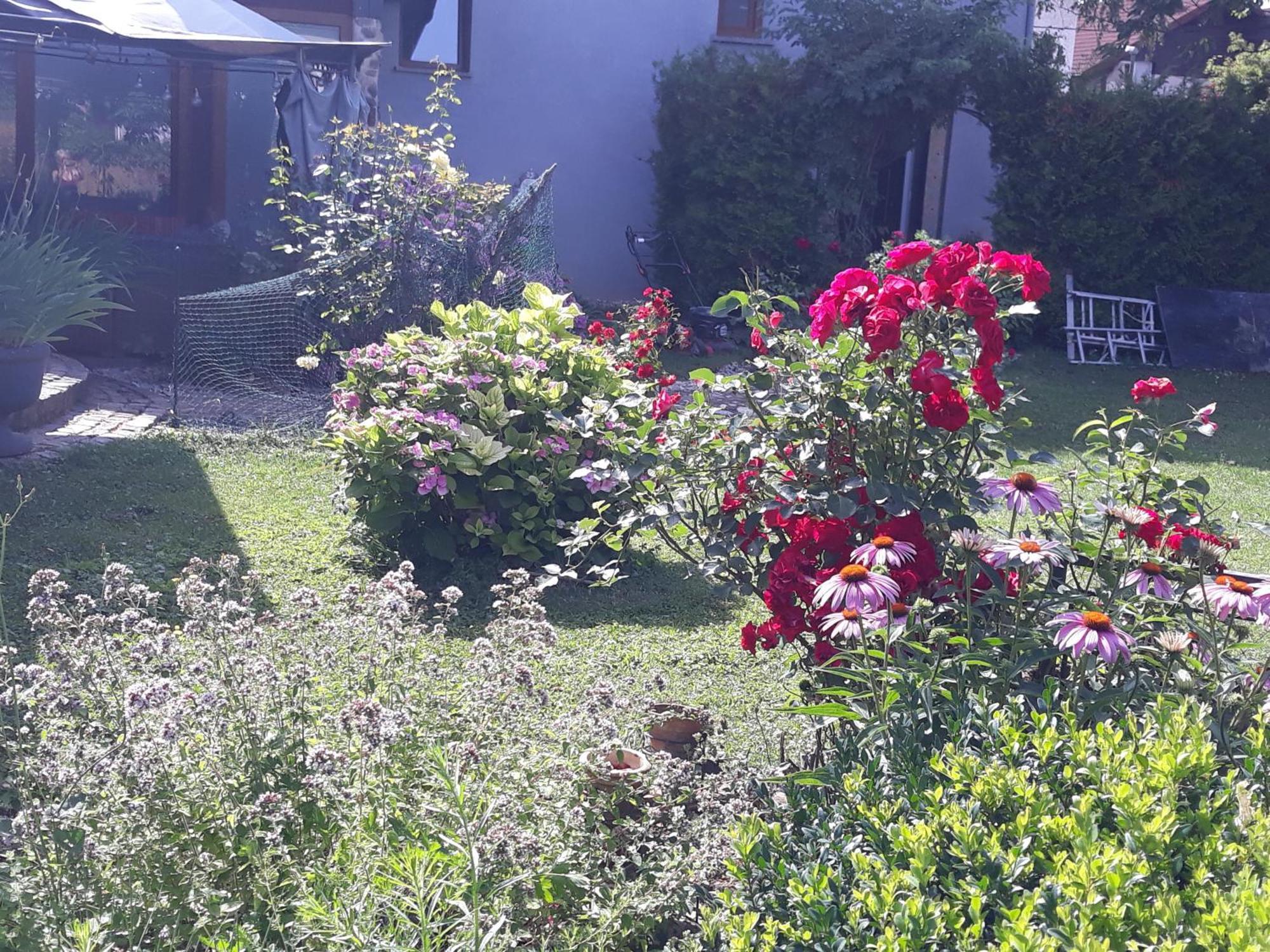 Rose Room 40M2 With Terrace 25M2 In Greeny Area For 4 Person Laibach Exterior foto